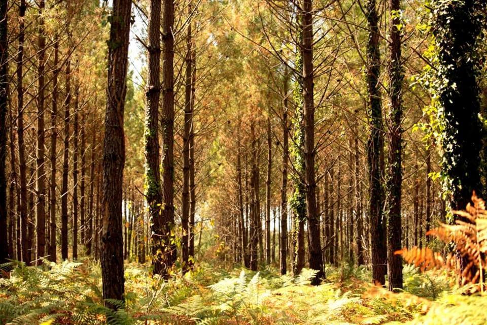 Апартаменты 2 Coeurs 2 Landes Garrosse Экстерьер фото